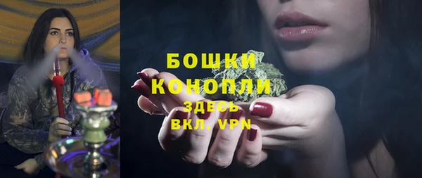 spice Алзамай