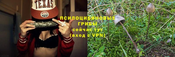 spice Алзамай